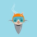 Cartoon cat on a jet plane. Vector graphics.